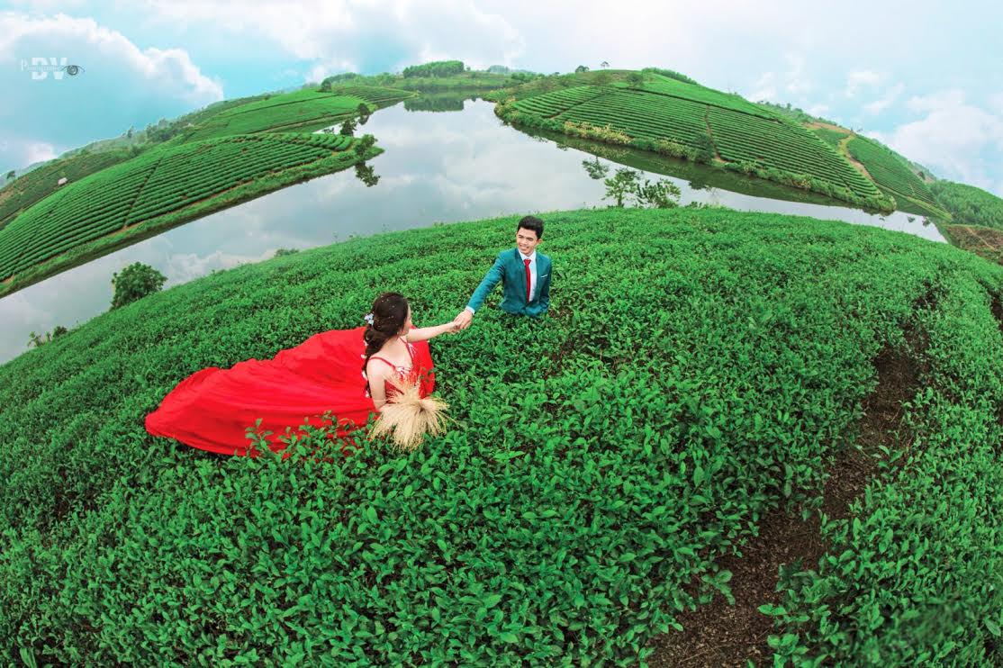 Đảo ch&egrave; ch&iacute;nh l&agrave; địa điểm th&uacute; vị để đ&ocirc;i lứa c&oacute; những khoảnh khắc ngọt ng&agrave;o, l&atilde;ng mạn (Ảnh: I.T).