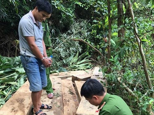 Nghệ An: Bắt lâm tặc phá rừng phòng hộ