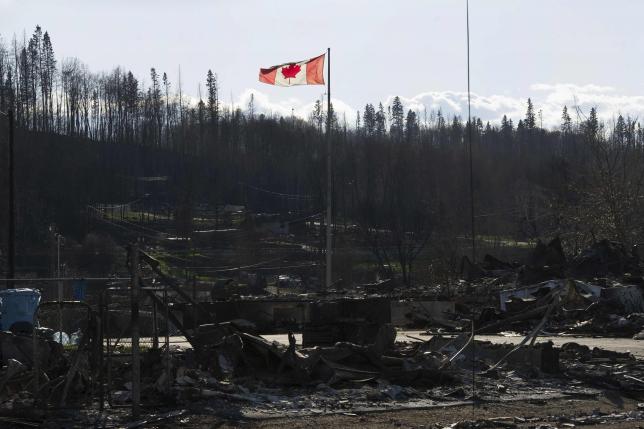 Canada: Cháy rừng dữ dội, gấu tràn vào thành phố kiếm ăn