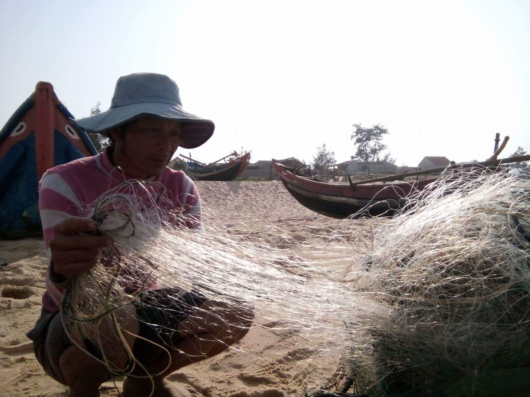Các thợ lặn bắt đầu lặn xuống biển làm rõ cá chết xếp lớp