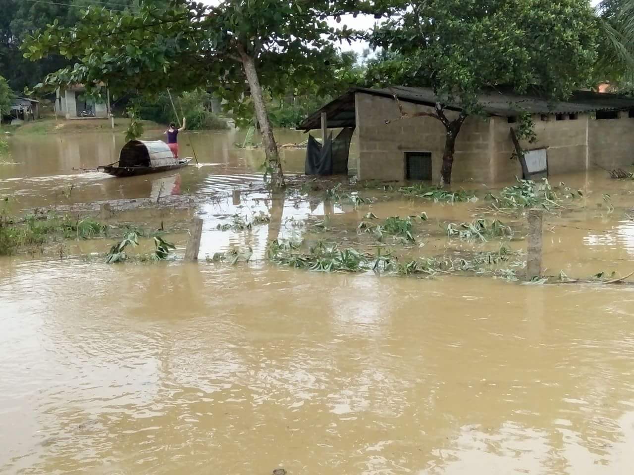 Ngập lụt ở Phong Mỹ