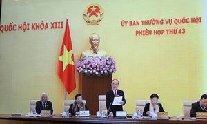 Chính phủ sắp trình dự thảo Luật Biểu tình