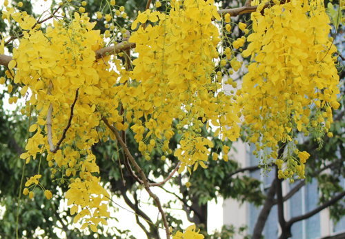 Với em, anh không là người yêu cũ