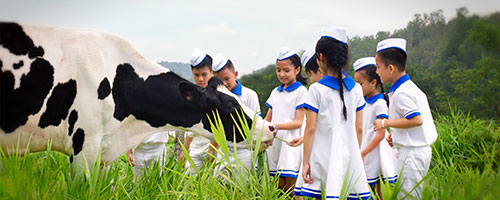 Nhiều câu chuyện cảm động từ sữa