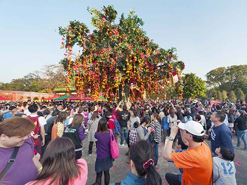 BenThanh Tourist đem “lạ” vào tour Tết