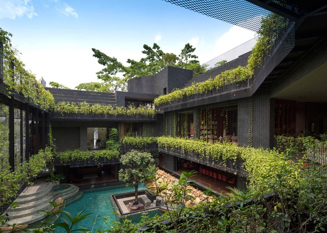 "Vườn bách thảo" trong ngôi nhà 4 tầng ở Singapore