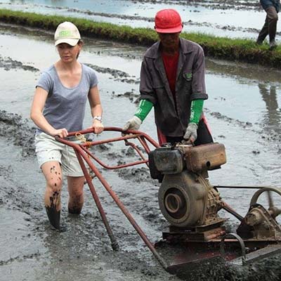 Kết nối sinh viên giúp nông hộ nhỏ giải quyết khó khăn