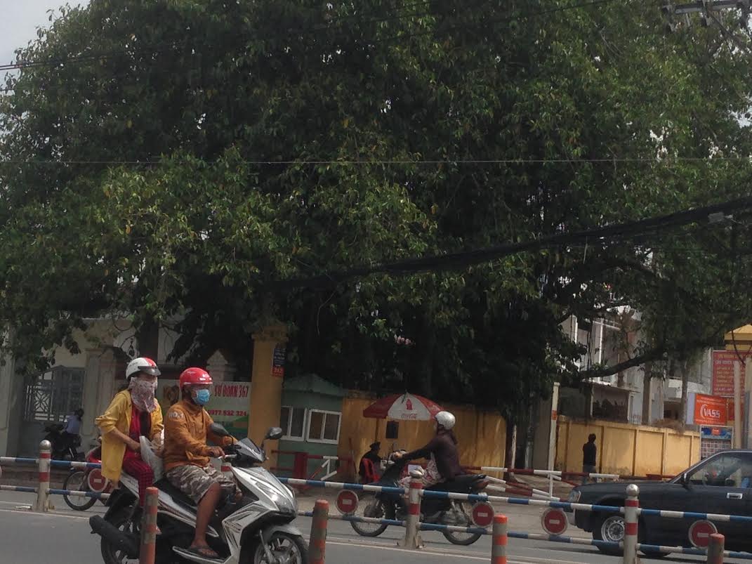 Nhậu say, Sơn Tinh giết nhầm bạn