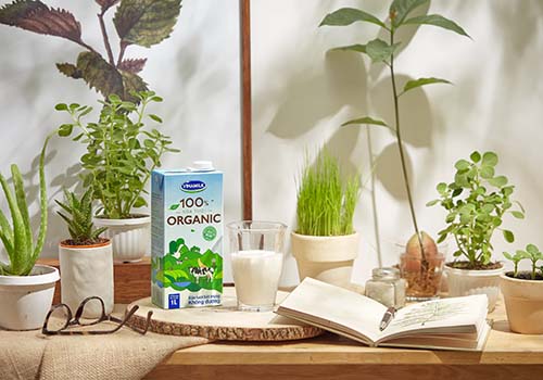 Vinamilk sản xuất sữa tươi Vinamilk 100% organic cao cấp