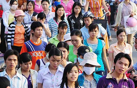 Công ty đã nóng vội
