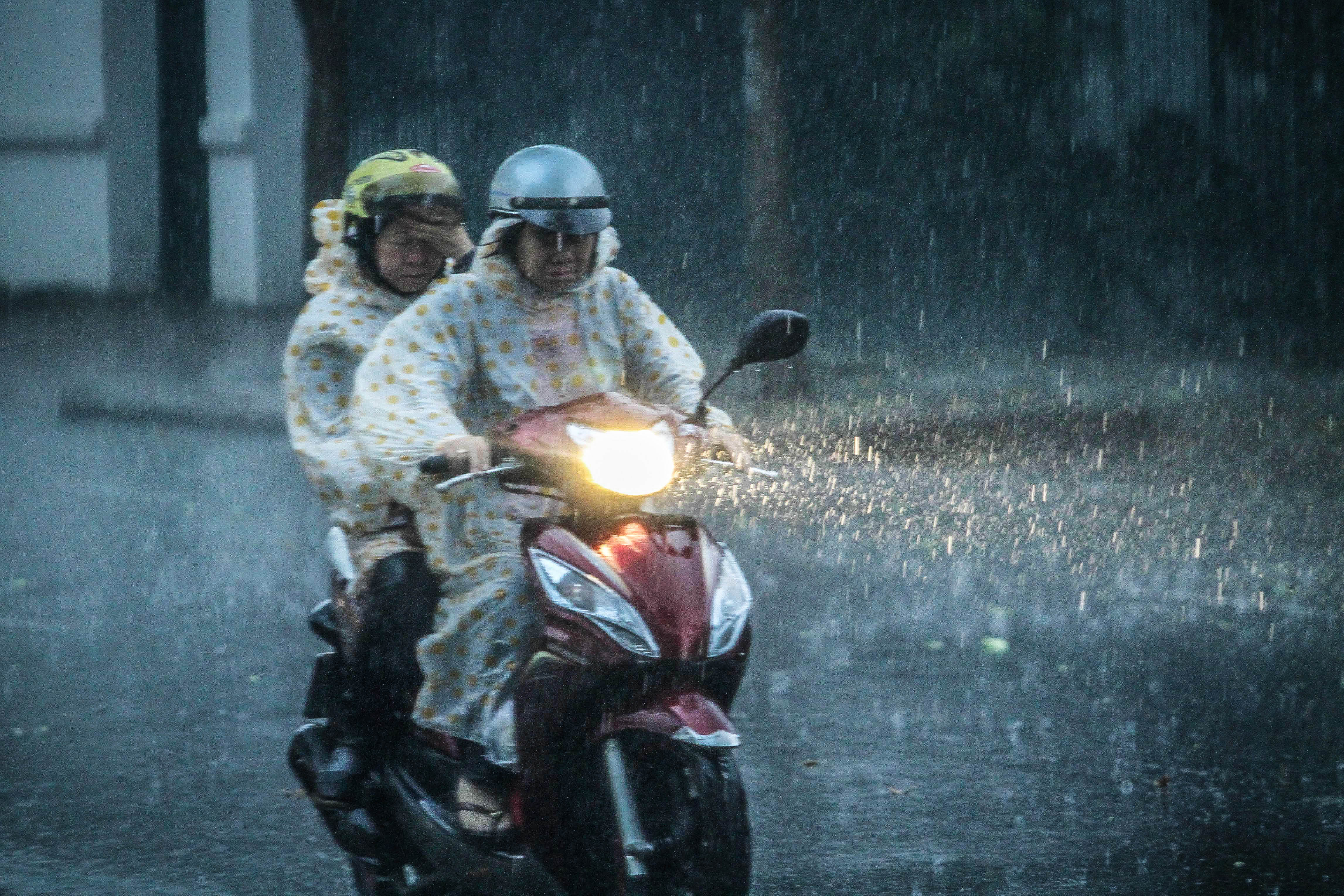 Cơn mưa mùa báo hiếu