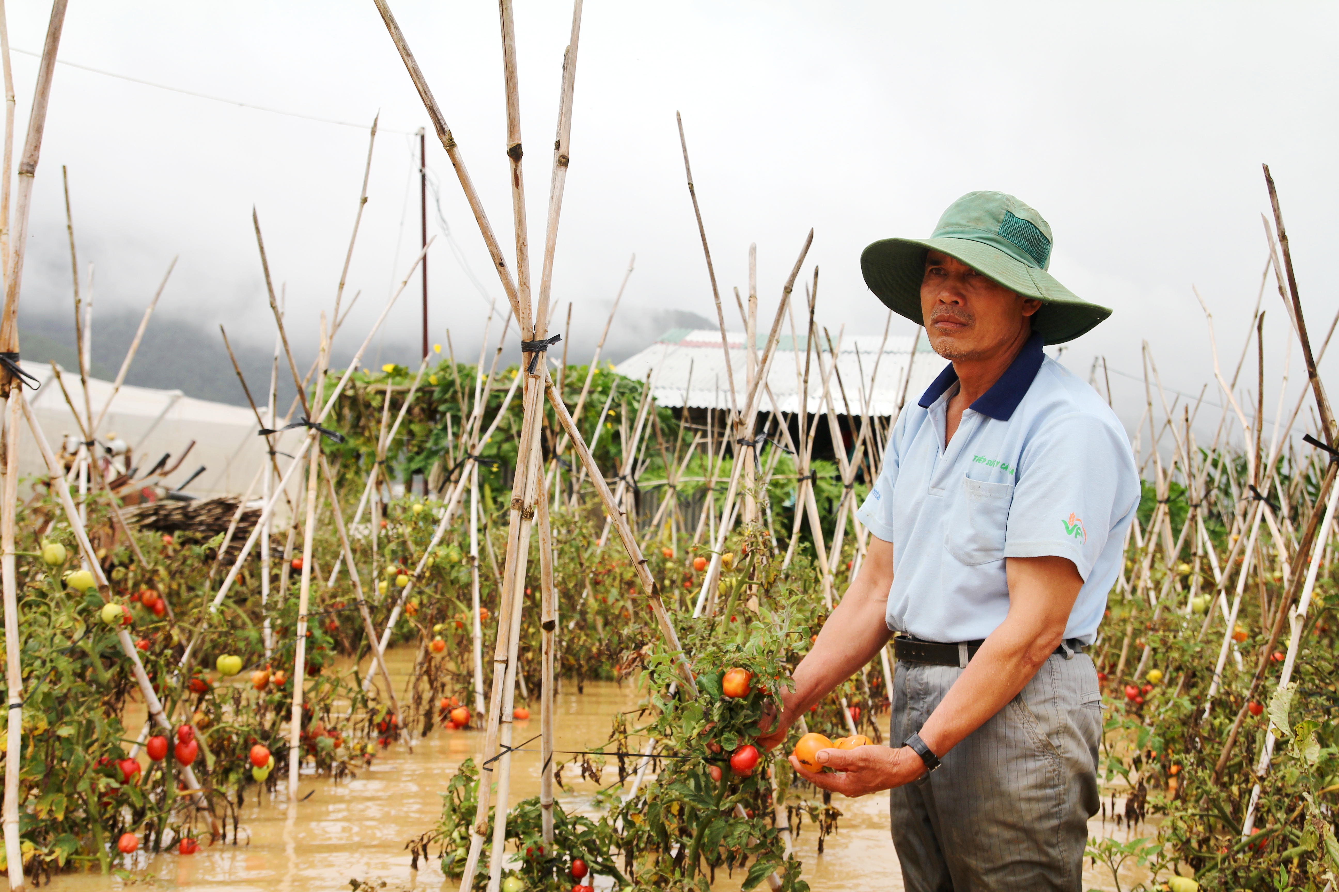 Thủy điện xả lũ, nhà vườn ở Lâm Đồng chới với