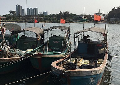 Trung Quốc bắt đầu hoảng vì "tàn sát" cá quá đà