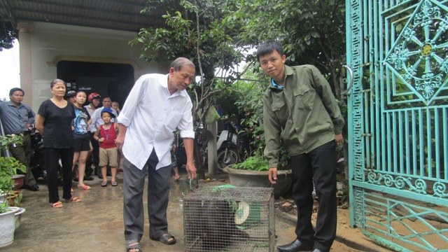 Tiếp nhận 2 “hầu vương” quý hiếm để bảo tồn