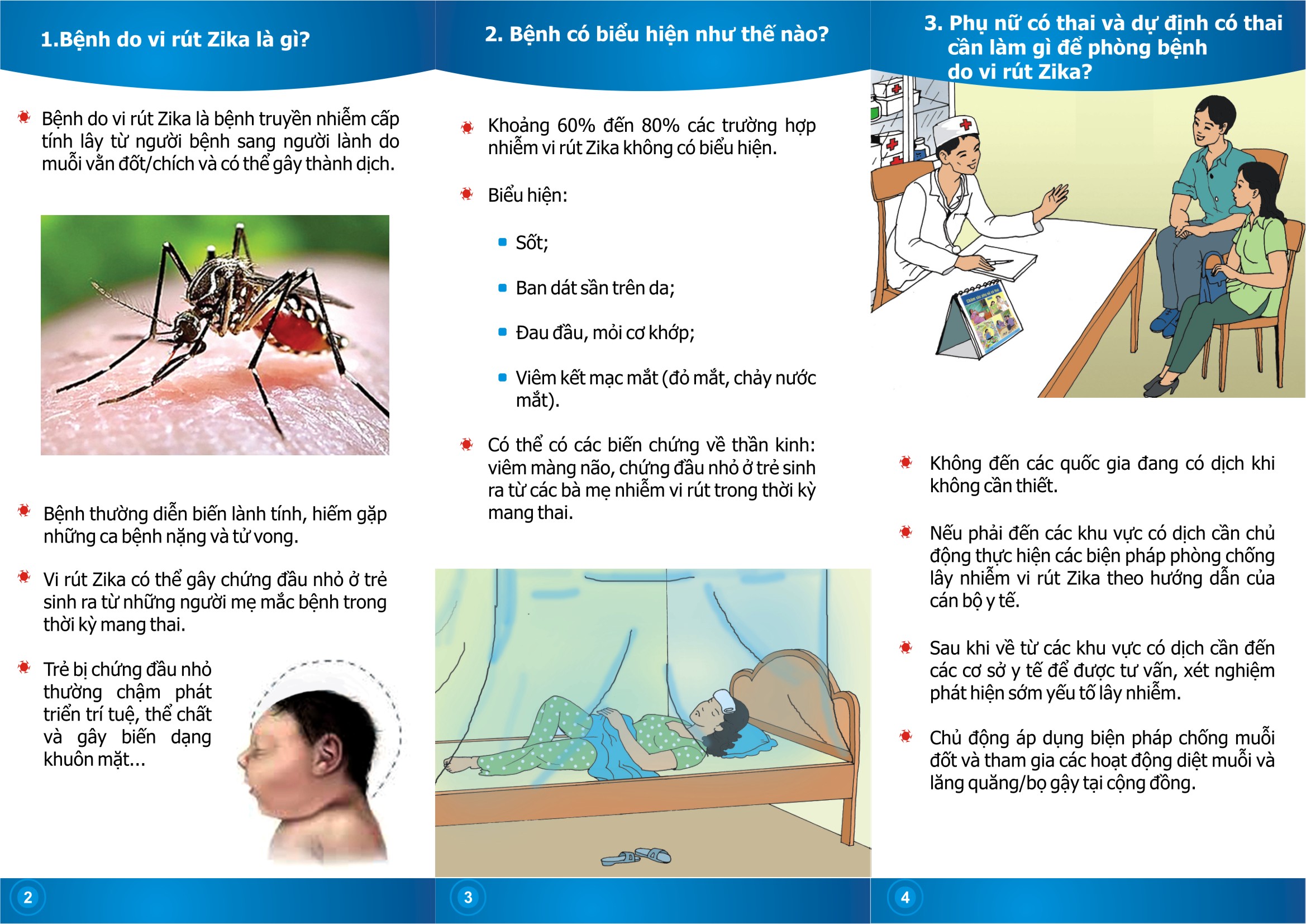Bộ Y tế khuyến cáo thai phụ đối phó virus Zika