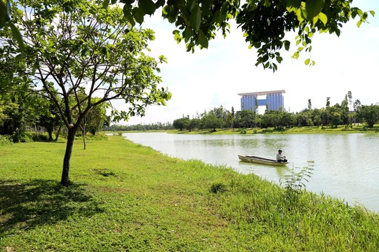 Thú vị với đèn đường ở Bình Dương tự tăng giảm độ sáng