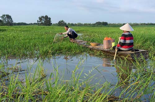Các dự án được nhận tài trợ của IPP2 năm 2016