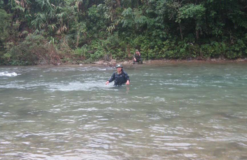 Bạch Mã chưa yên