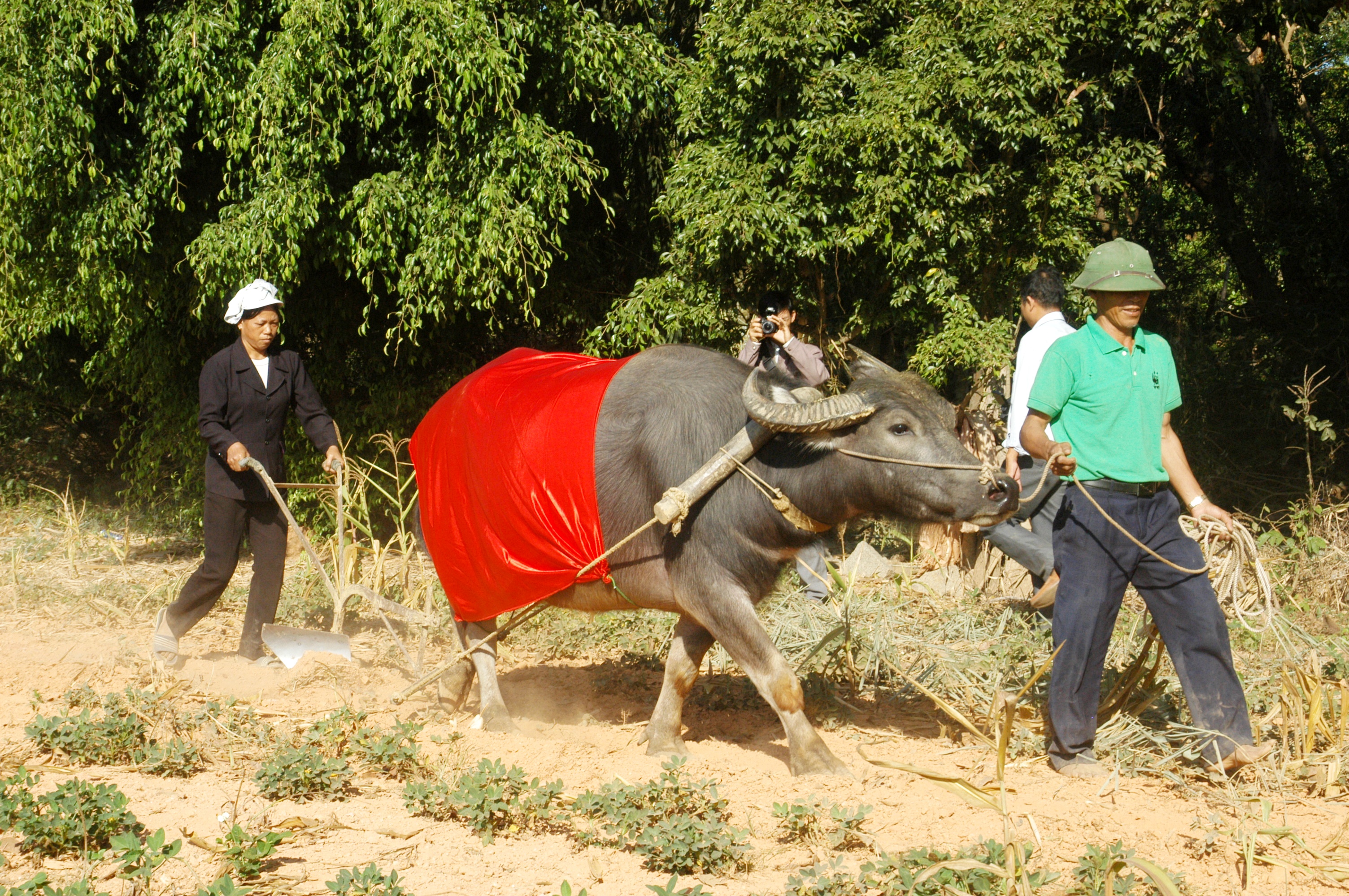 Dân Cát Tiên xuống đồng "lấy hên" trong ngày Thần Tài