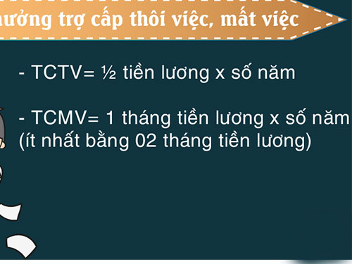 Sao không trả trợ cấp mất việc?