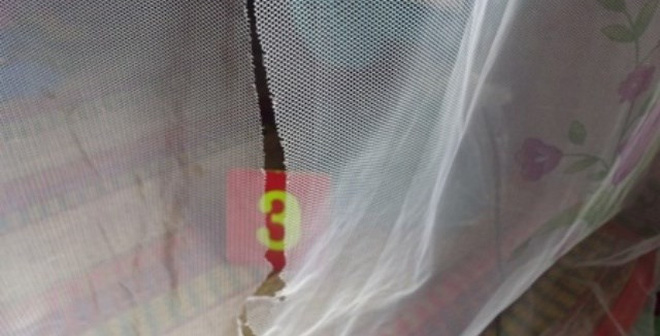 Truy tố băng trộm chuyên rọc mùng vùng U Minh Thượng