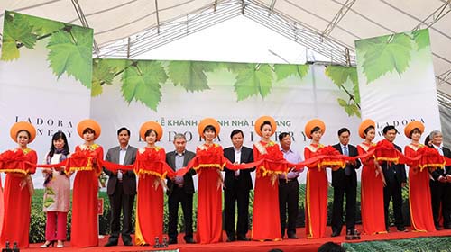 Chính thức khánh thành nhà làm vang Ladora Winery