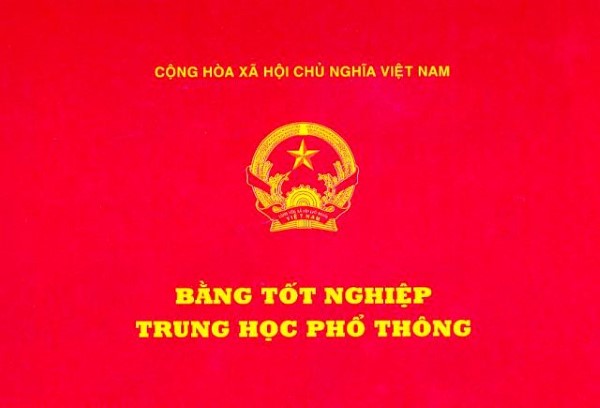 Trưởng Ban Tổ chức Thành ủy bị thu hồi bằng THPT