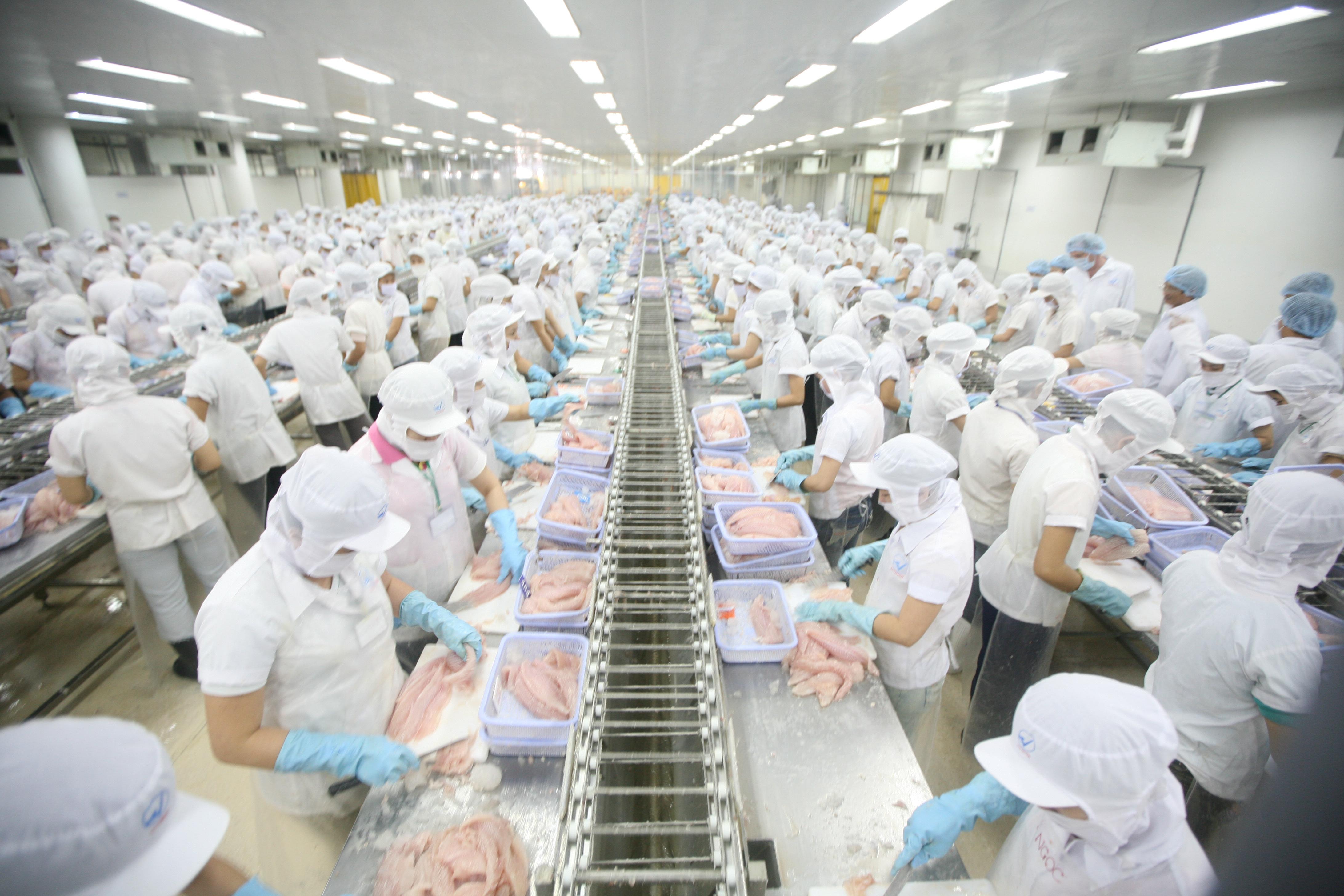 Hàng ngon xuất khẩu, thực phẩm bẩn tràn lan trong nước