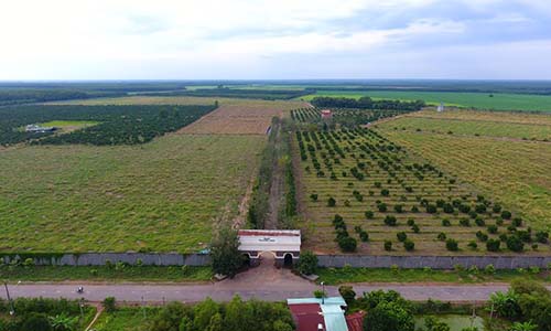 Vinamit đạt đầy đủ chứng nhận nông nghiệp hữu cơ organic