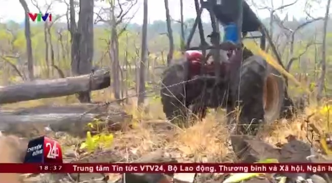 VTV lên tiếng về phóng sự điều tra phá rừng ở Đắk Lắk