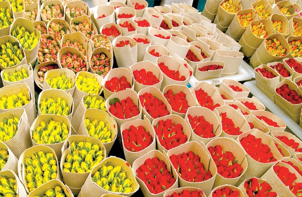 Xuất khẩu hoa tươi: Dễ hay khó?
