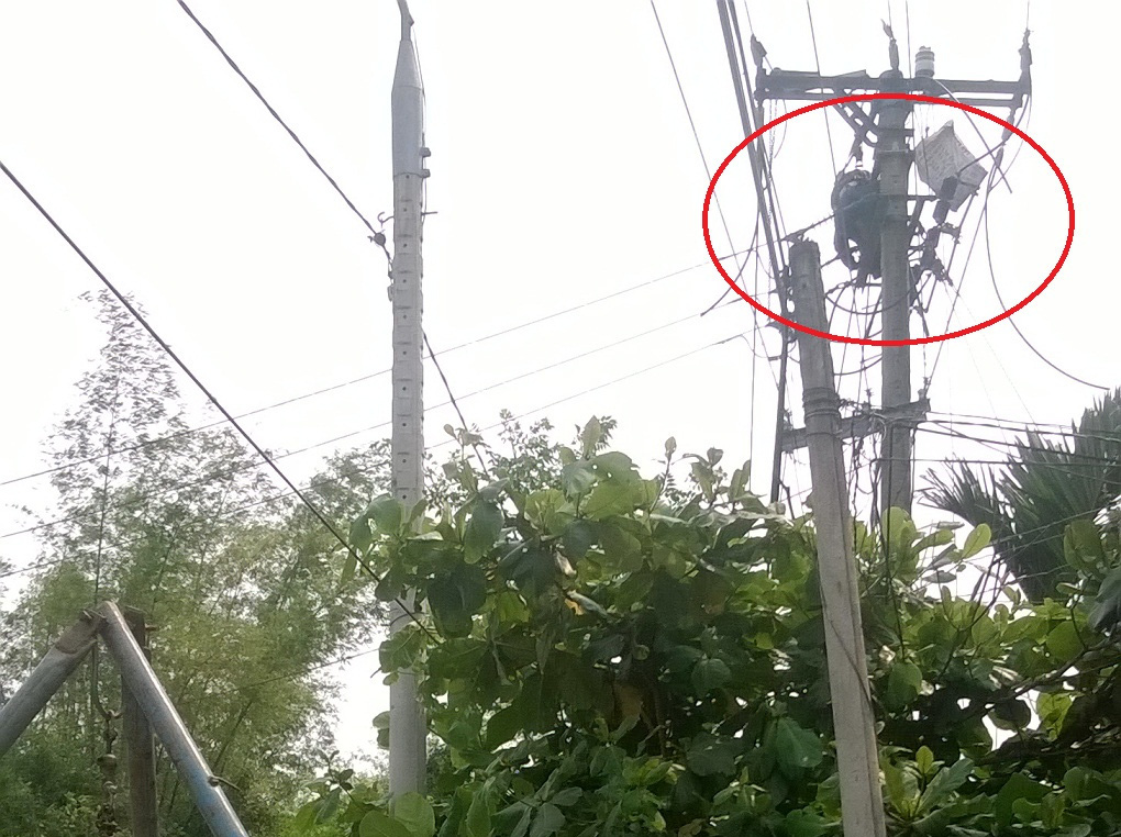Vụ bị điện giật chết khi đã cúp điện: “Hỗ trợ” 150 triệu đồng