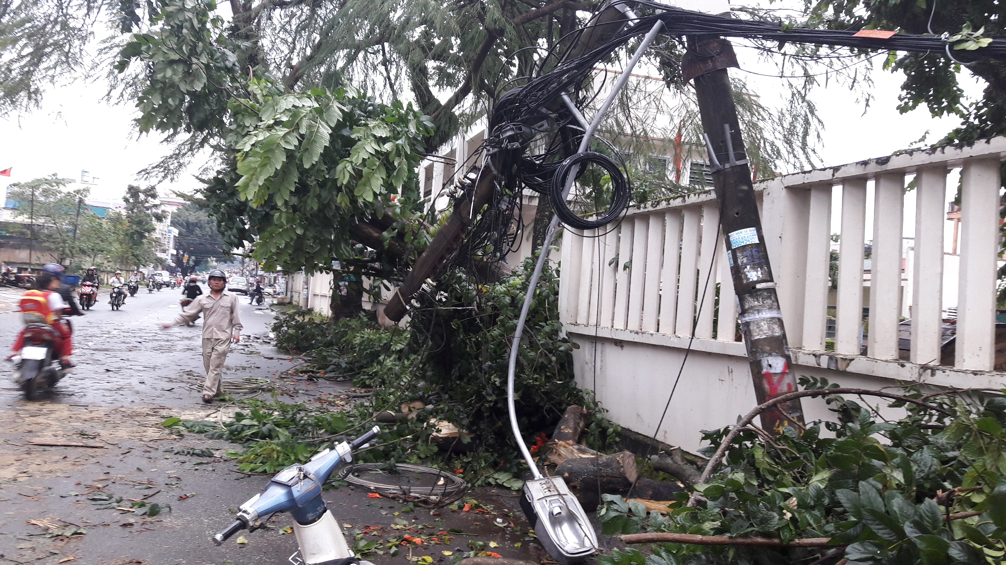 
D&acirc;y điện bị đứt, rơi v&atilde;i

