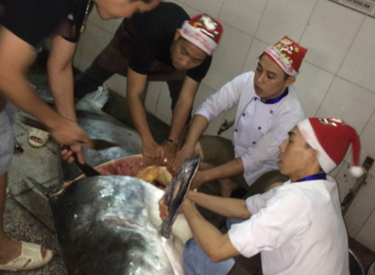Thêm một con cá tra dầu “khủng” bị xẻ thịt