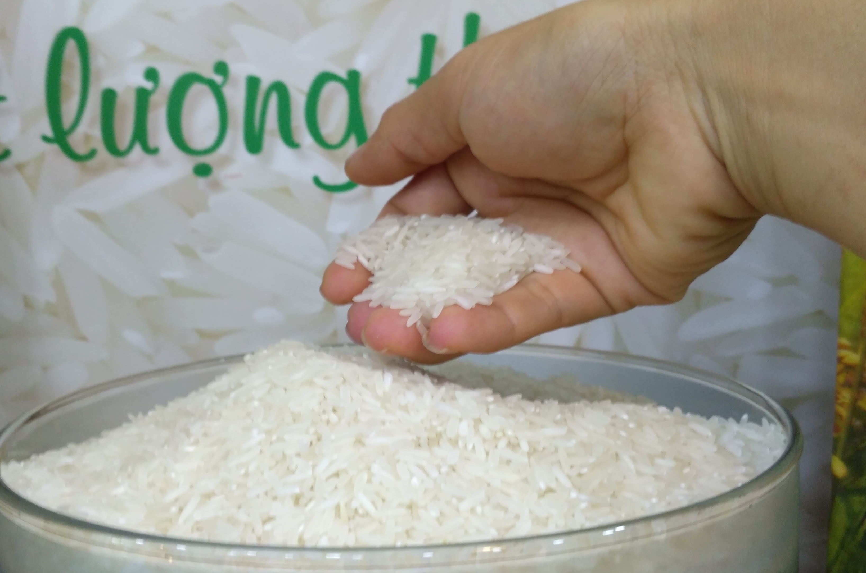 Trung Quốc giảm mua hơn 400.000 tấn gạo Việt