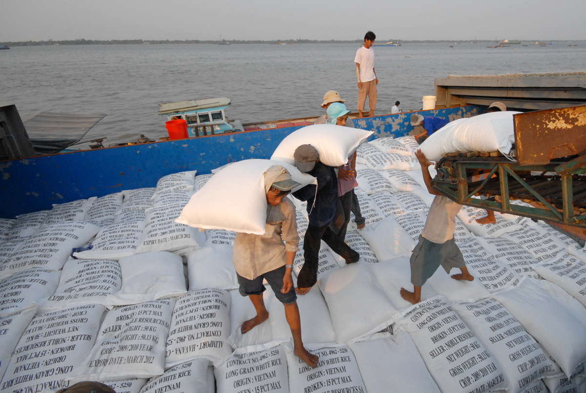 Quá lệ thuộc thị trường gạo Trung Quốc