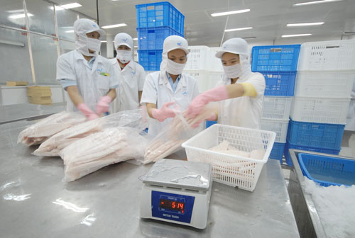 Nguy cơ cá tra mất thị trường Mỹ