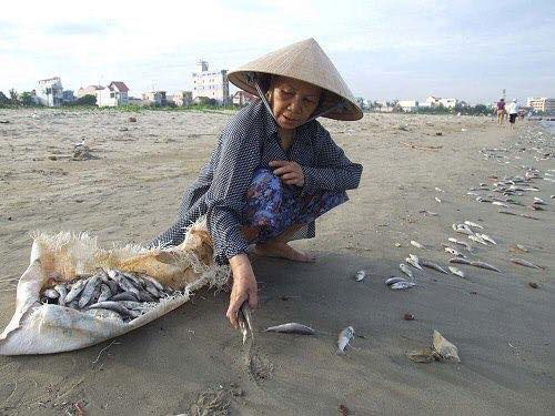 Xử lý tranh Biển chết: Ồn ào không đáng có - Ảnh 2.