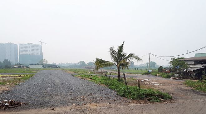 Cuối năm, phân lô bán nền tại TP HCM lại “nở rộ” - Ảnh 1.
