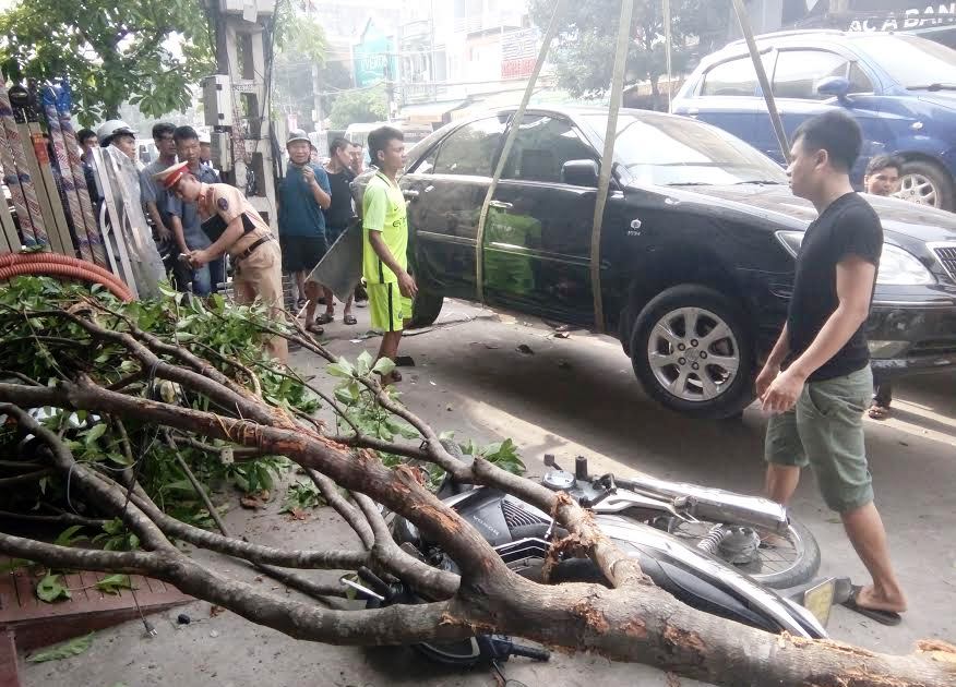 
Nhờ c&oacute; c&acirc;y xanh v&agrave; người d&acirc;n nhanh ch&oacute;ng n&acirc;ng &ocirc; t&ocirc; n&ecirc;n c&ocirc; g&aacute;i đ&atilde; được cứu sống
