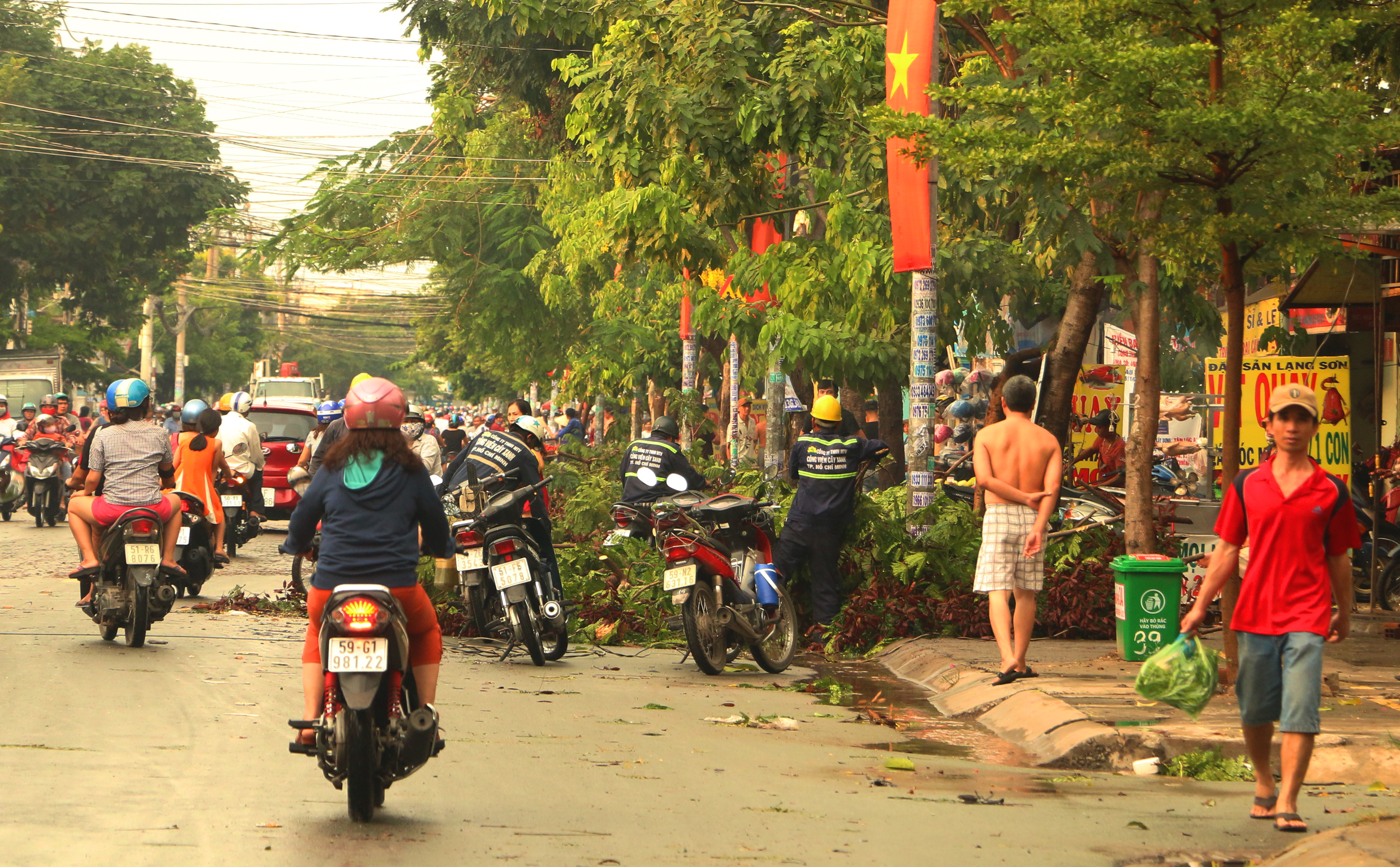 Lực lượng chức năng dọn dẹp những c&acirc;y g&atilde;y đổ.