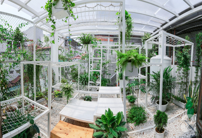 Khu vườn tuyệt đẹp có chức năng "điều hoà"