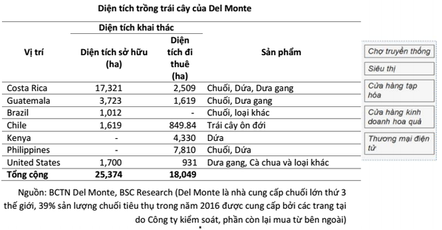 Quy m&ocirc; tr&aacute;i c&acirc;y của HAGL lớn đến mức n&agrave;o? - Ảnh 2.