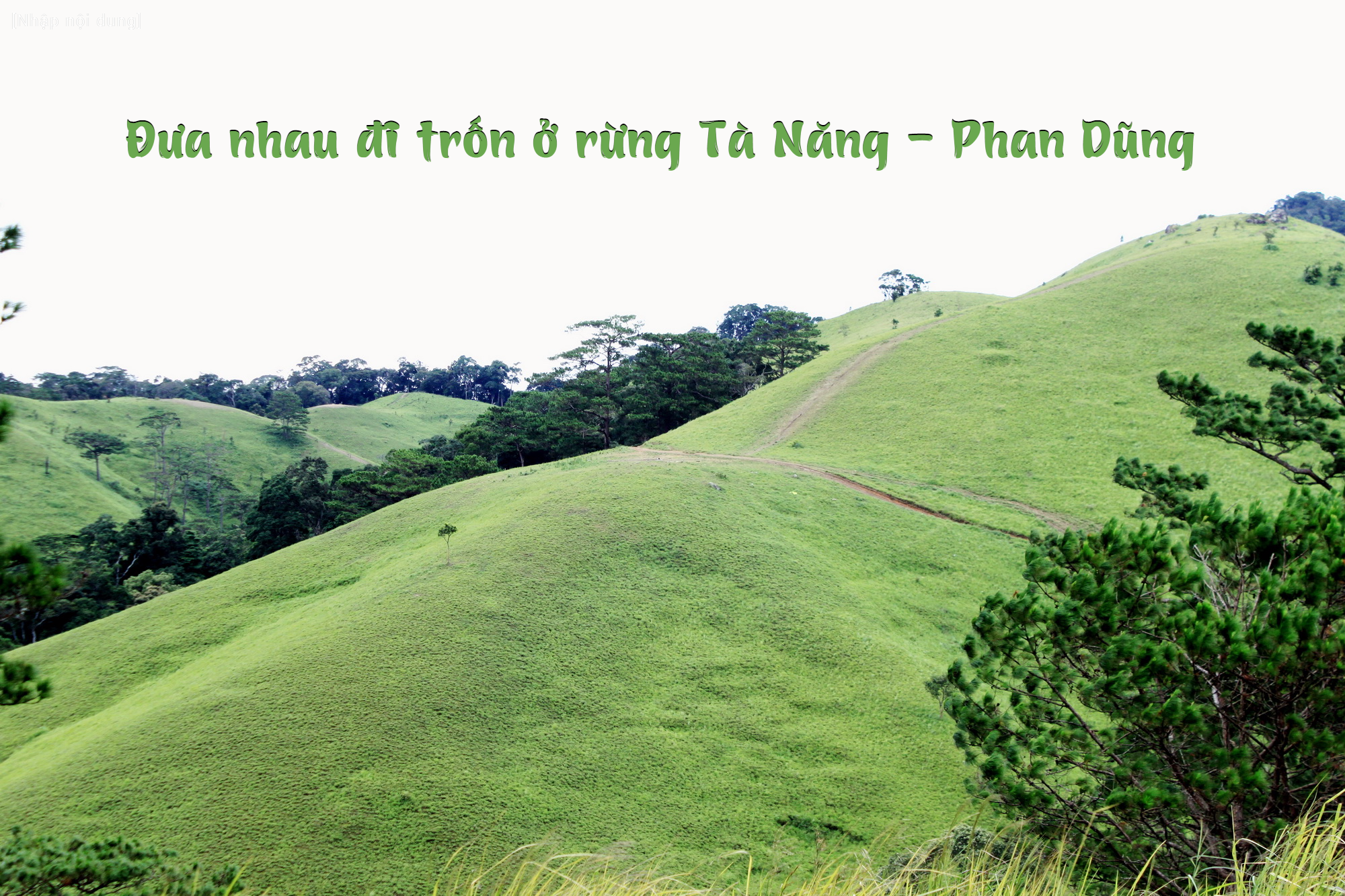 Đưa nhau đi trốn ở rừng Tà Năng- Phan Dũng