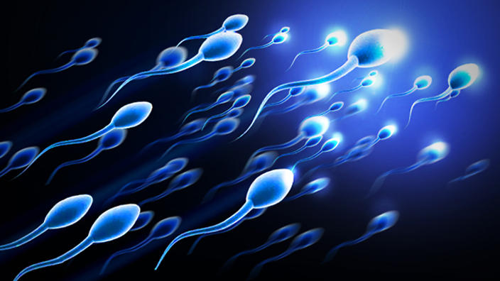 Con người đối mặt tuyệt chủng vì tinh trùng nam giới "đi xuống"