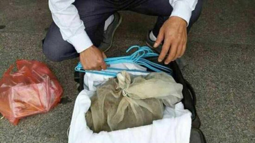 Hoảng vía phát hiện hành khách mang 50 con rắn độc lên xe lửa