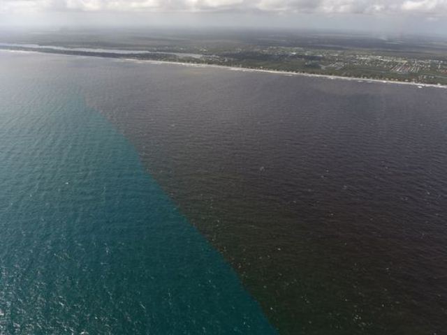 Bão Irma tan từ lâu, biển Florida vẫn chưa đổi lại màu