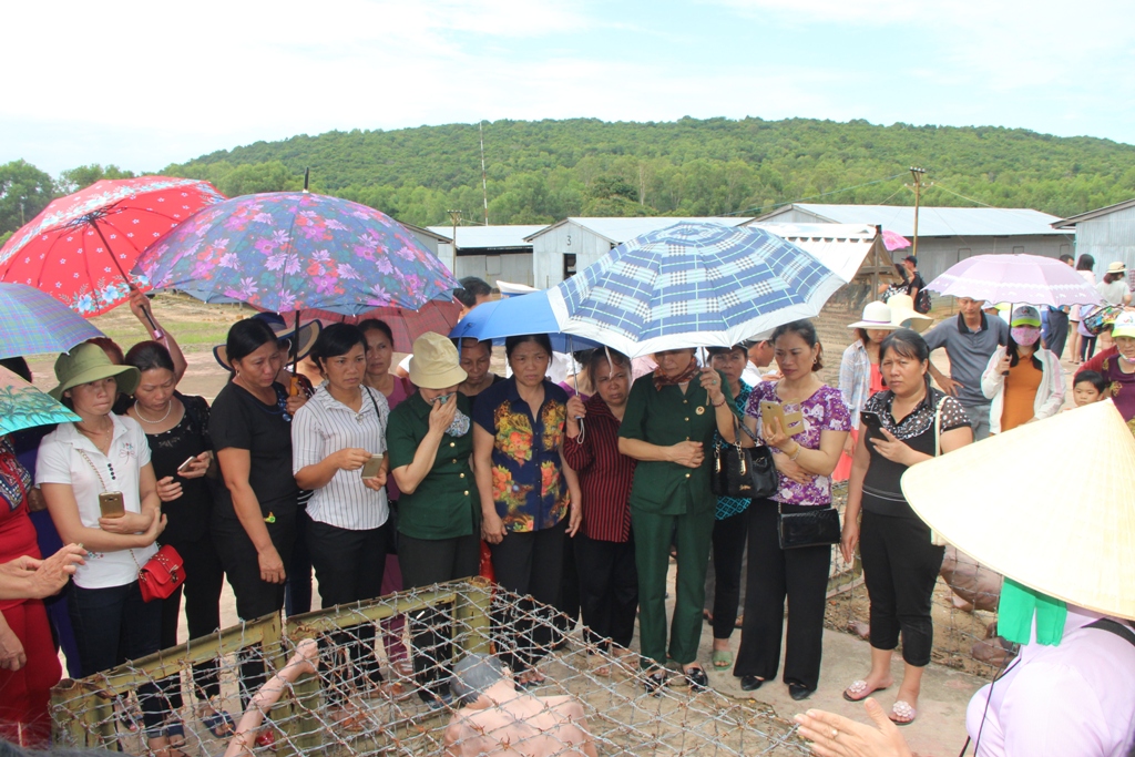 Đang trực tiếp cầu truyền hình “Linh thiêng Việt Nam” tại Phú Quốc - Ảnh 15.