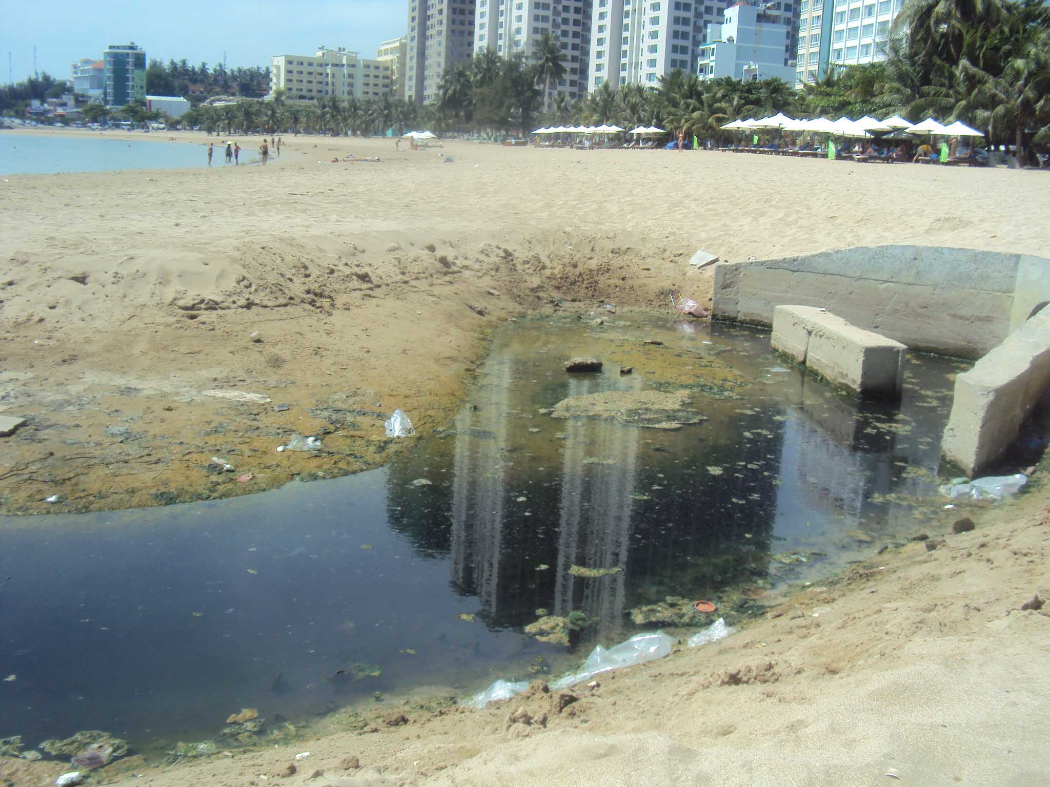 &Ocirc; nhiễm b&atilde;i biển - Ảnh 1.