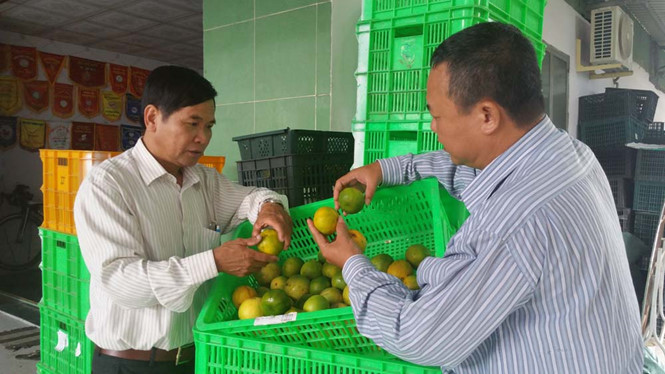 Tỉ phú quýt đường